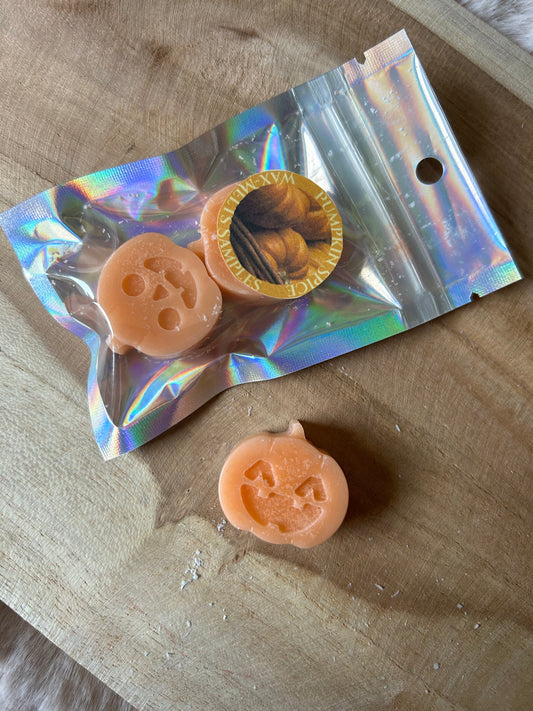 Pumpkin Spice and Everything Nice Waxmelts || Mini Samples