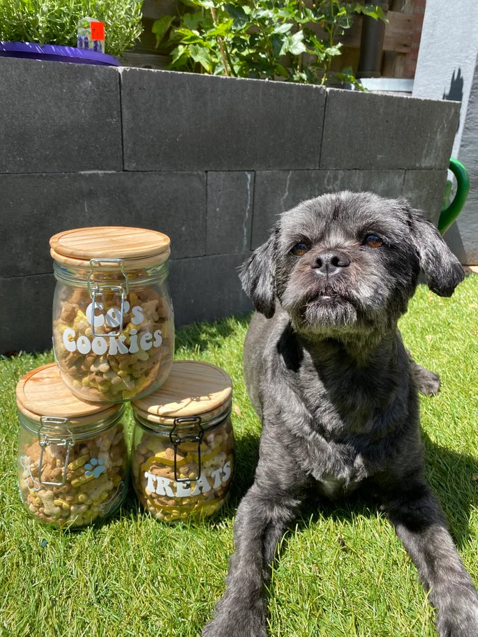 Treat Jar || Dogs / Cats
