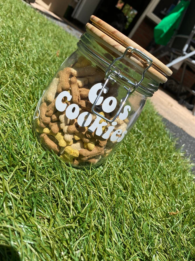 Treat Jar || Dogs / Cats