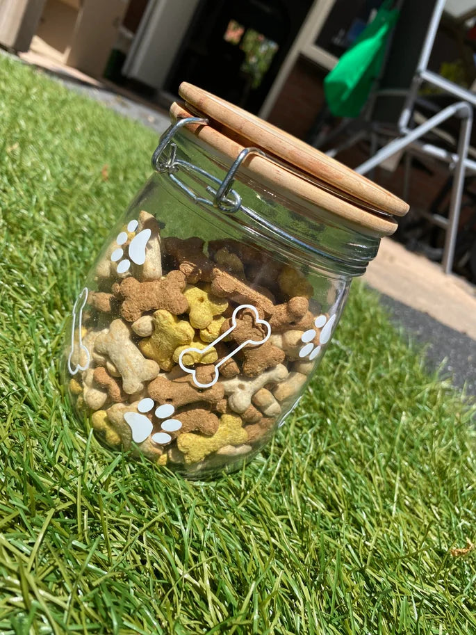 Treat Jar || Dogs / Cats